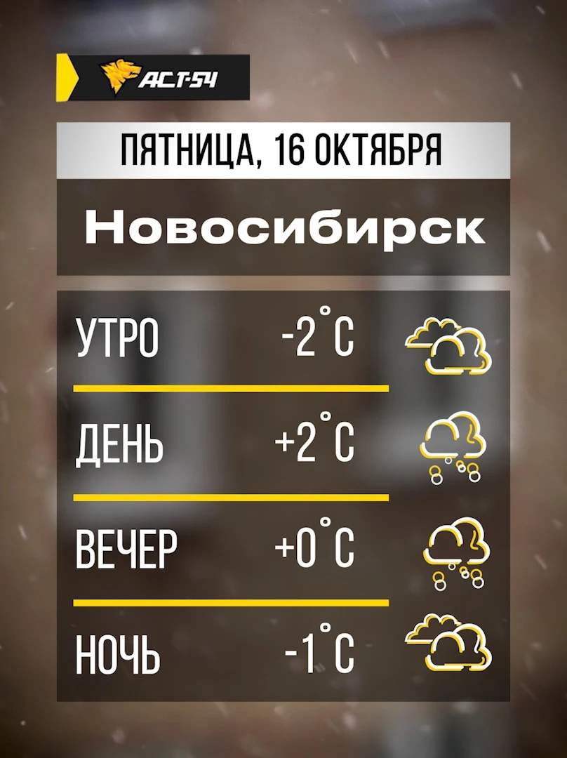 🌨️ Новосибирск, доброе утро! Сегодня в течение дня ожидается мокрый снег.
