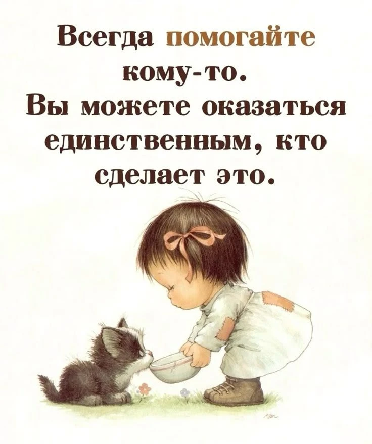 ✨🐾 ЗАМКНИ КРУГ ДОБРА: "ДЕНЬ СТОЛЬНИКА" ДЛЯ БЕЗДОМЫШЕЙ! 🐾✨