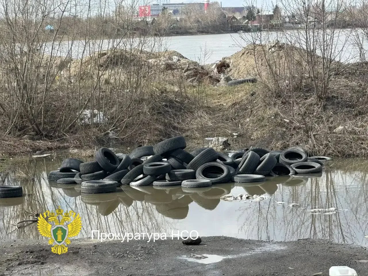 В Новосибирске ликвидировали стихийную свалку на берегу Оби