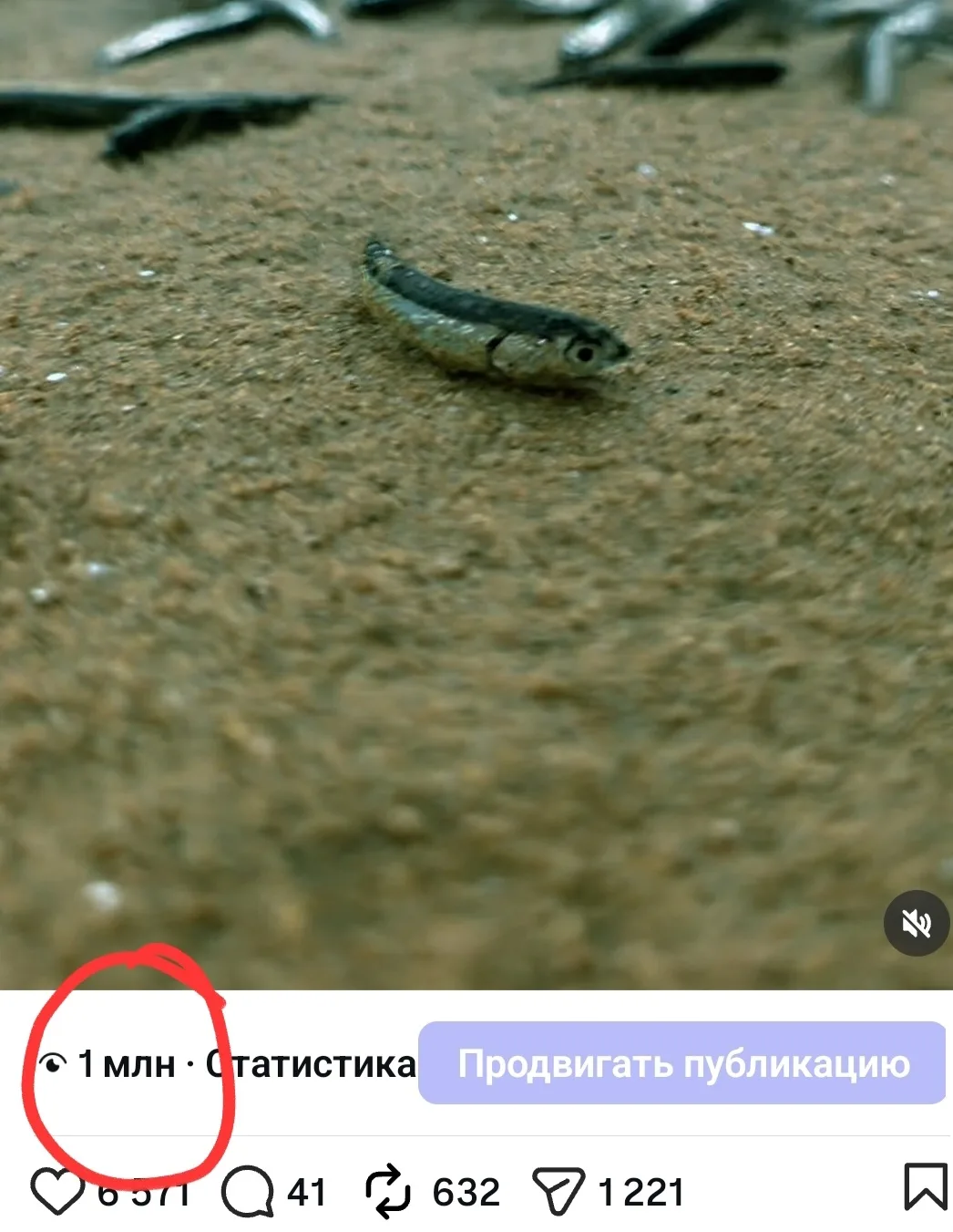 Тот самый случай "а на утро я проснулась знаменитой" 🤦‍♀