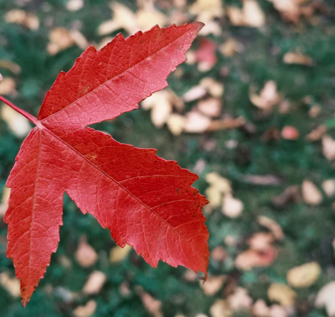 🍂 9-10 октября, куда сходить?