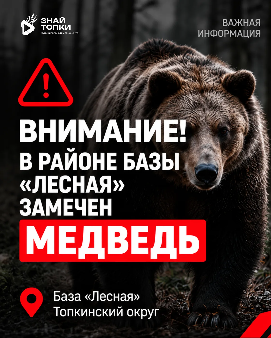 В районе базы «Лесная» замечен медведь!