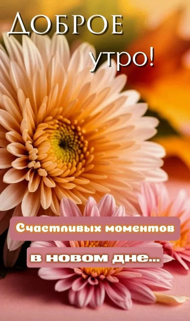 🗓 Сегодня 14 октября 2026 года, среда – отмечается 12 праздников.