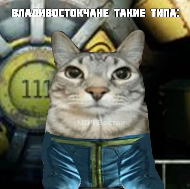 🛡 Во Владивостоке на домах начали появляться указатели «УКРЫТИЕ»