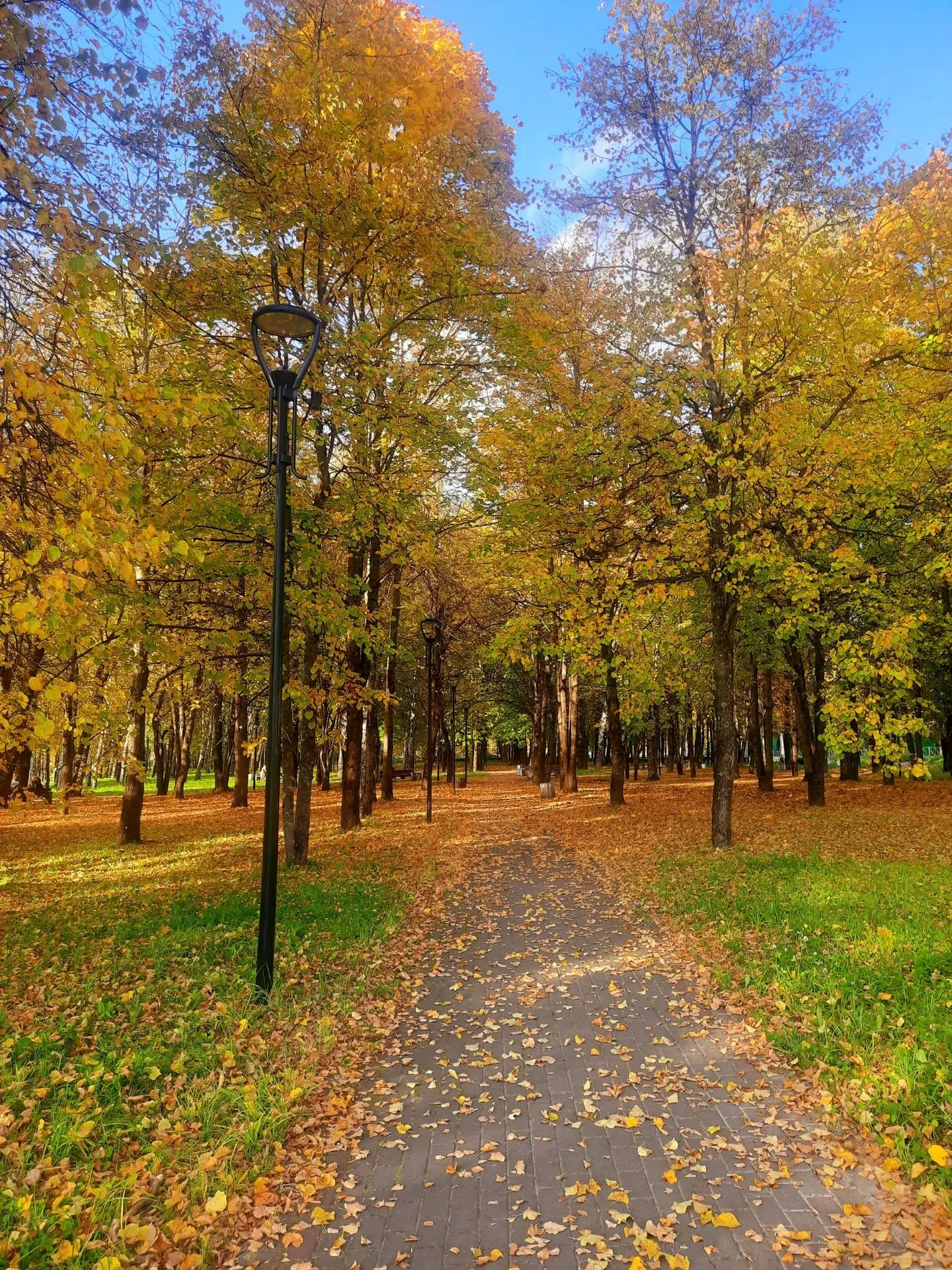 🍂🍁🍂 Золотая осень 🍂🍁🍂
