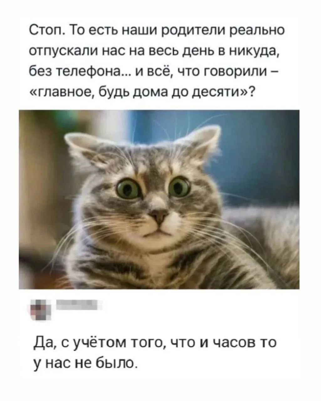 😁Православные тоже шутят - Позитивный канал, с доброй и душевной атмосферой.
