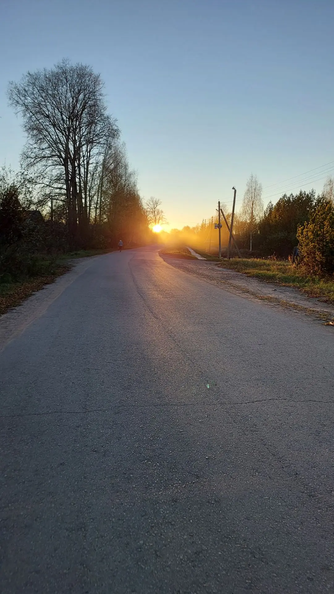 Из вчерашнева🌅
