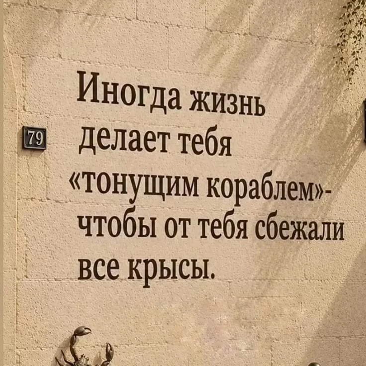 Место силы🌱Подписаться