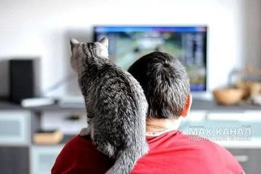 Россияне все чаще отказываются от брака.