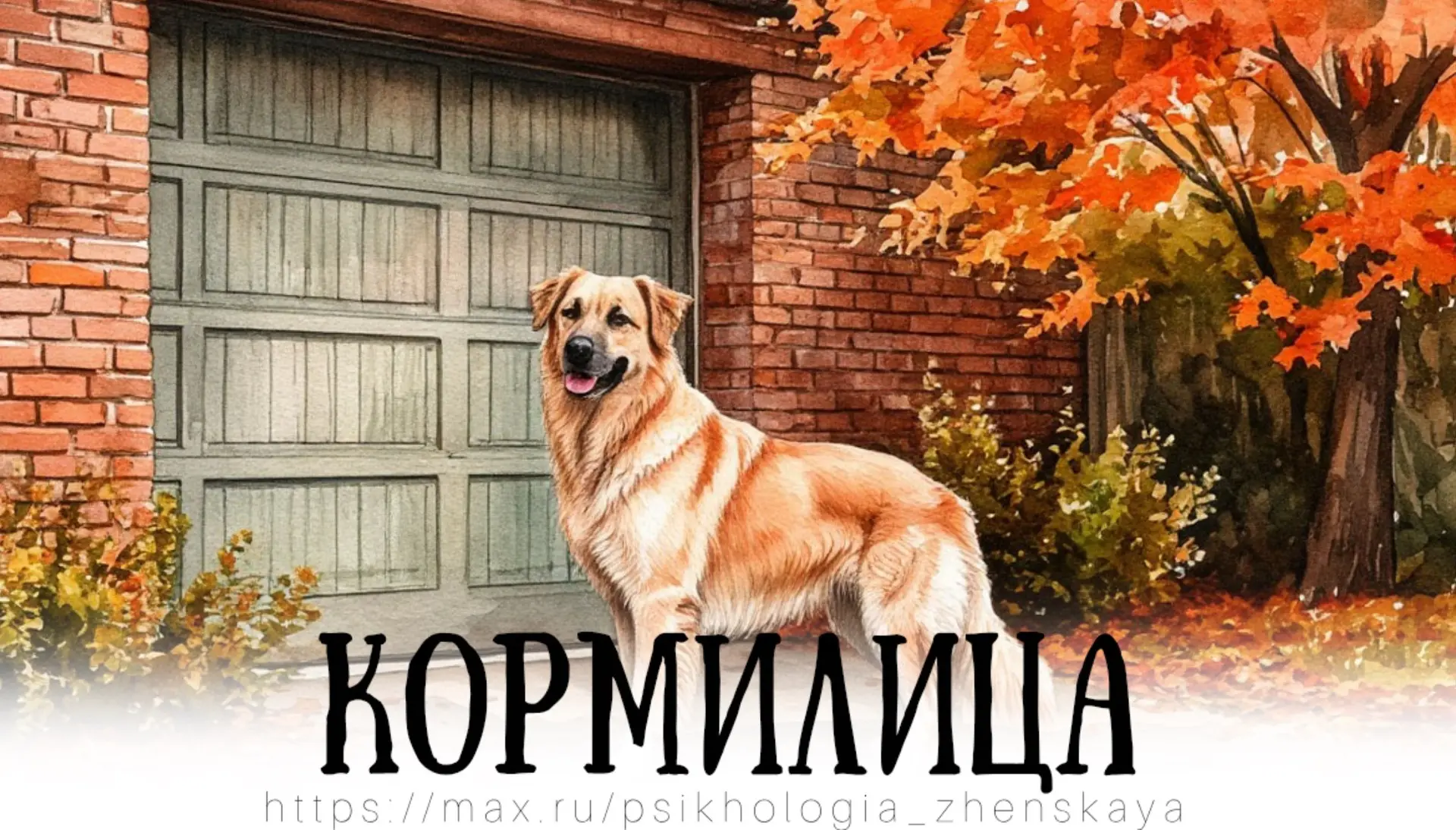 Бездомный обнял овчарку, и они уснули, а женщина шла назад по безлюдному парку, и глаза...
