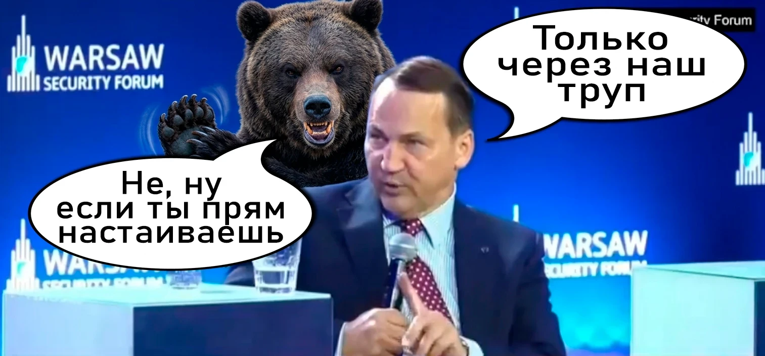 «Некоторые рассчитывают на возвращение активов России. Думаю, я говорю не только от сво...