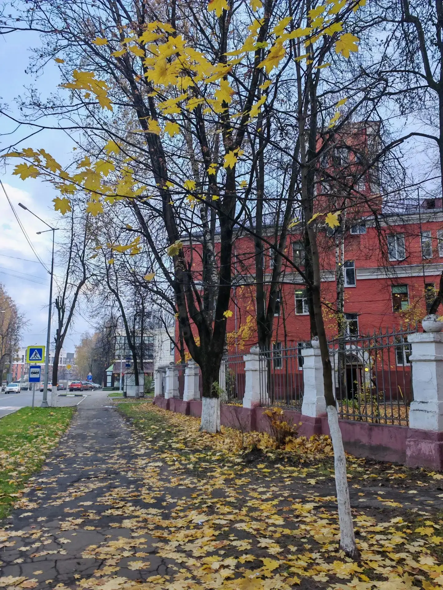 Доброго утра и продуктивной работы🤗
