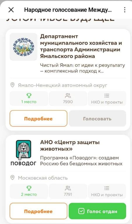 Всего двести голосов отделяет сеть приютов для собак Поводог от победы в международном ...
