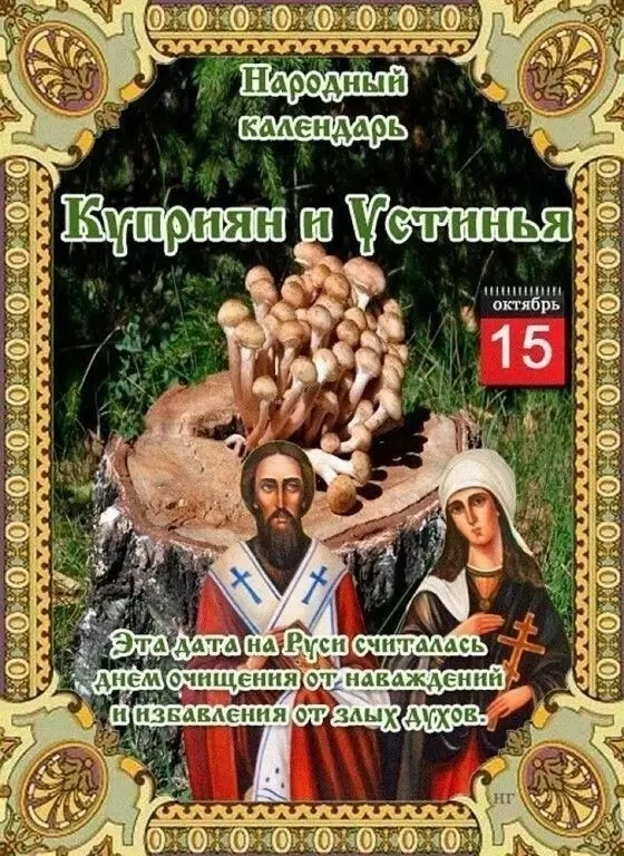 15 октября по народному календарю — день Куприяна и Устиньи (Куприянов день). Святых по...