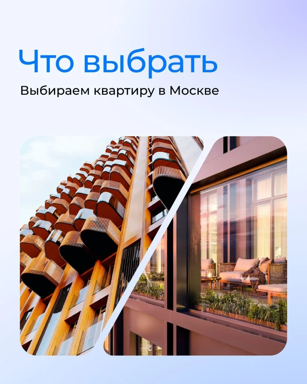 Север, запад, юг или восток — где выбрать квартиру в Москве⁉️