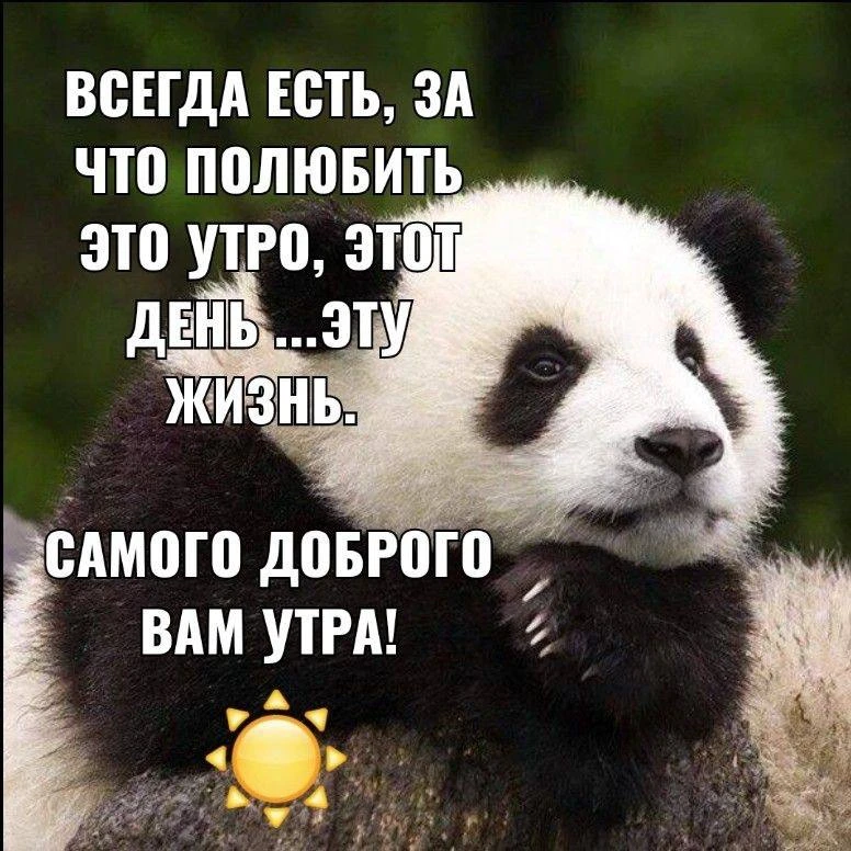 Да за ещё один тёплый осенний день как не любить? 😎