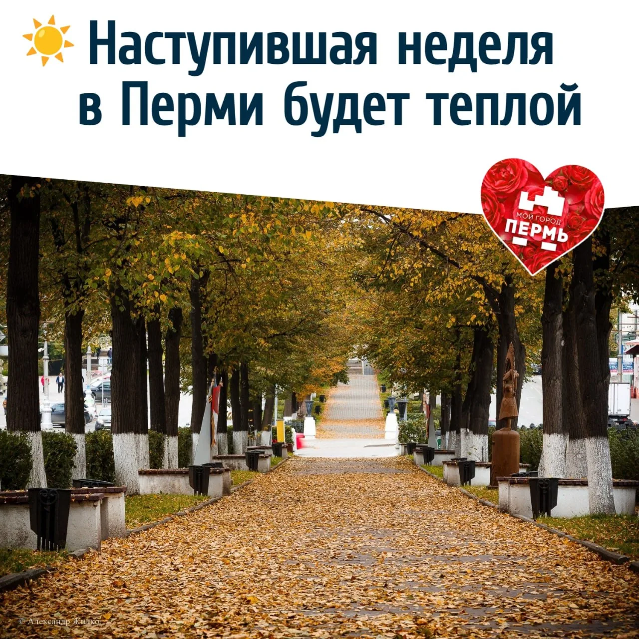 ☀️ Наступившая неделя в Перми будет теплой
