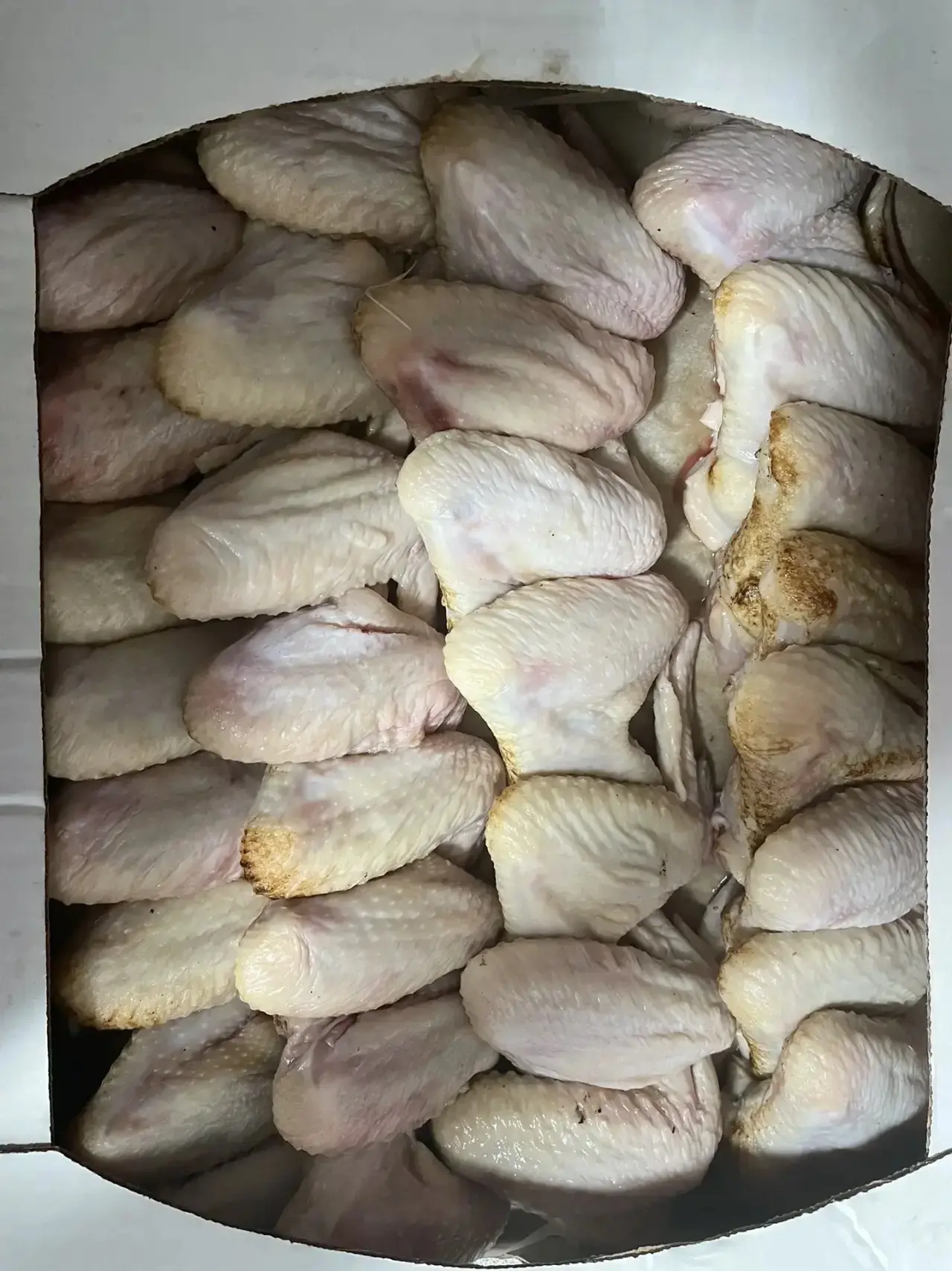 🍗🔥🍗🔥🍗🔥🍗🔥🍗