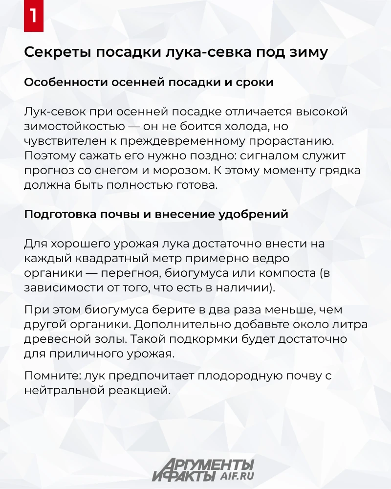 Когда и как сажать лук-севок осенью: гид по подзимнему севу