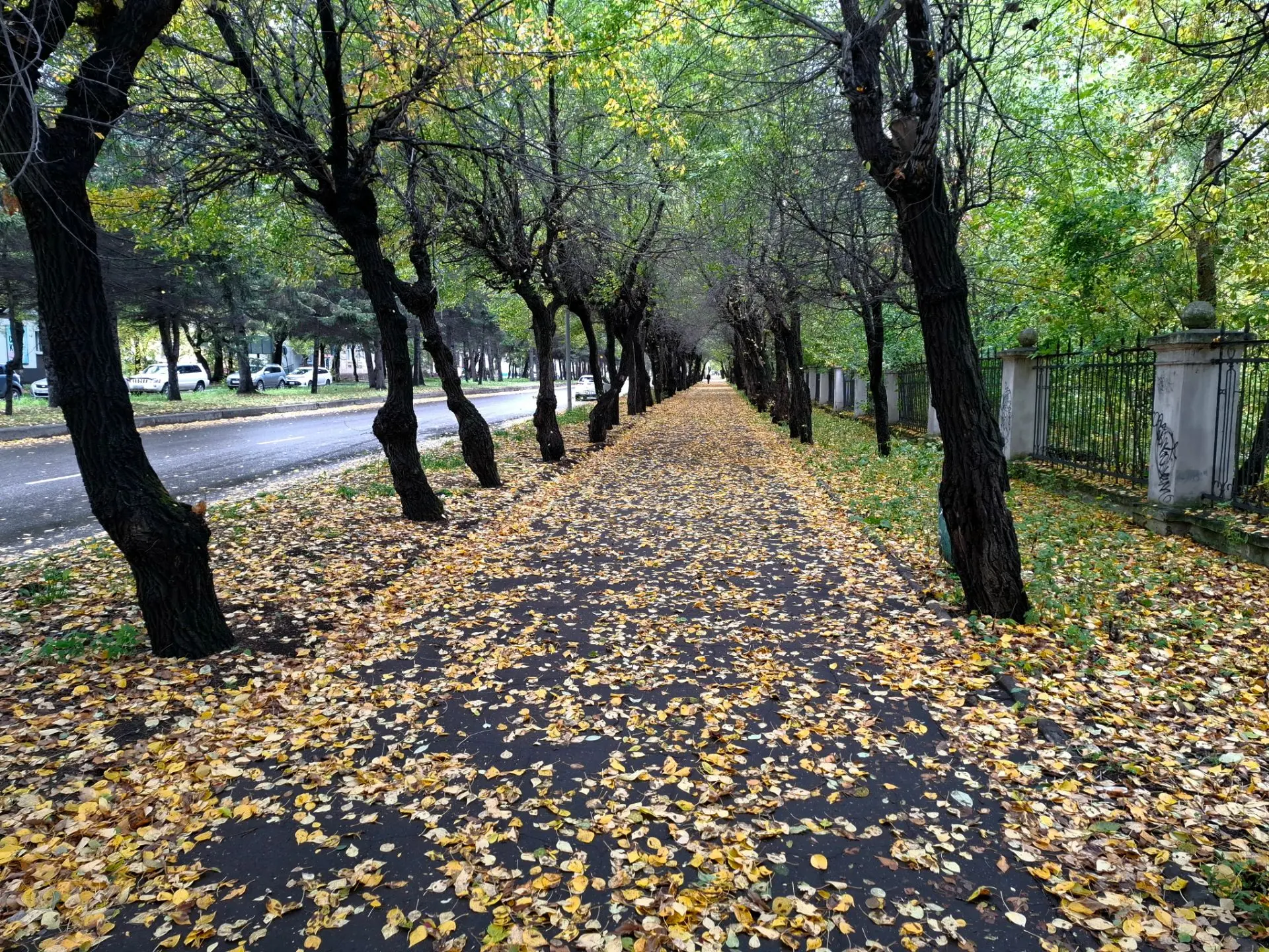 До завтра,  Комсомольск!
