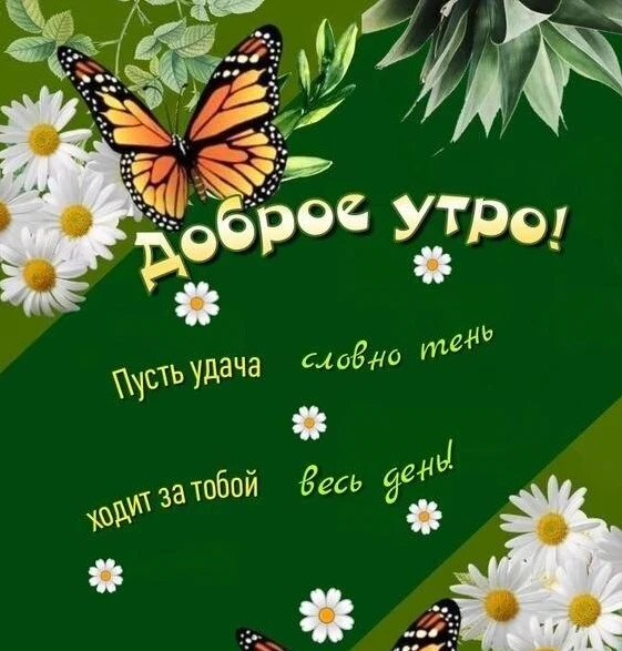 Утречко доброе,