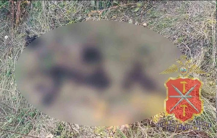 📌 Двое жителей Тульской области сознались в краже скота