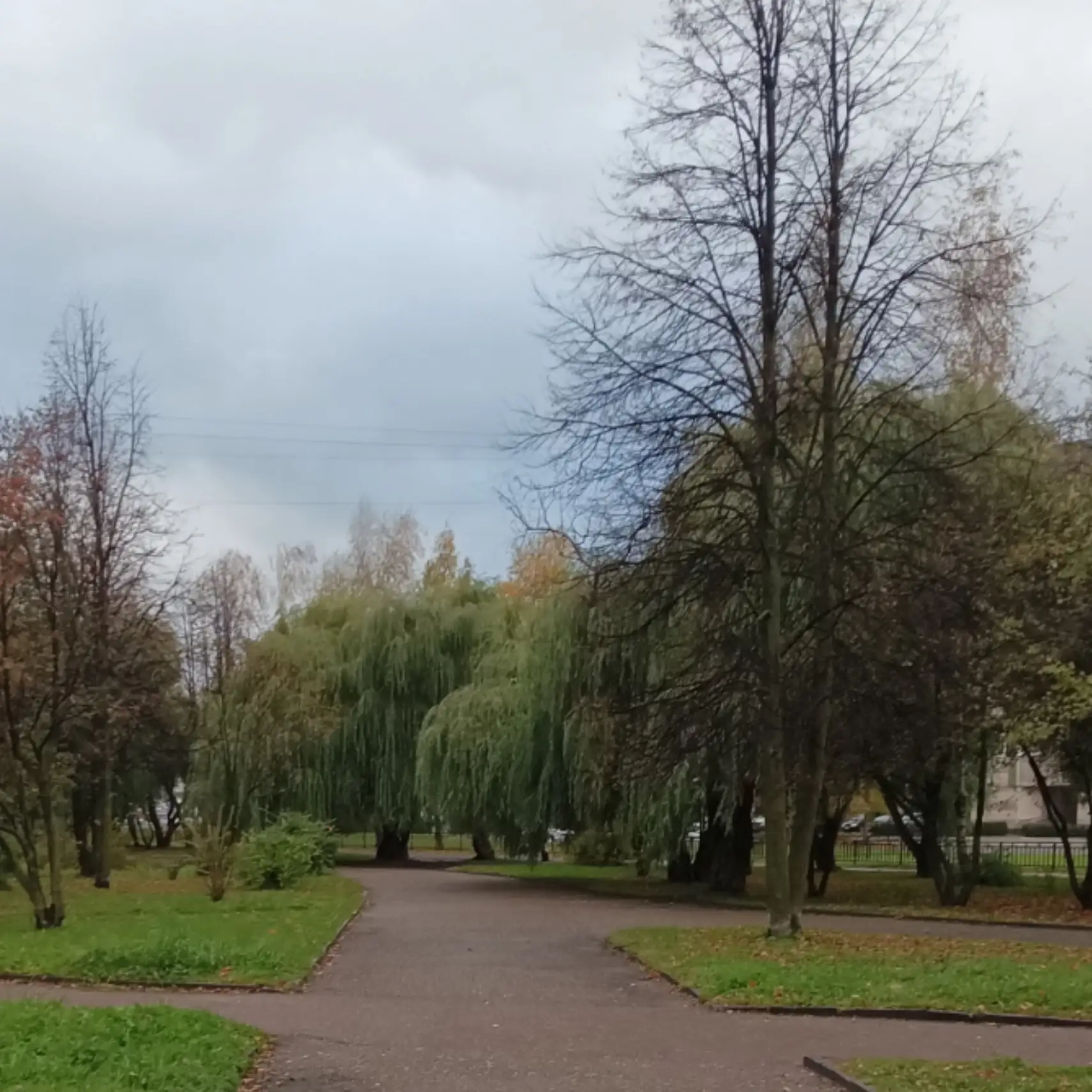 Нынче осень интересненькая, необычная, без многих и долгих дождей, но какая-то странная...
