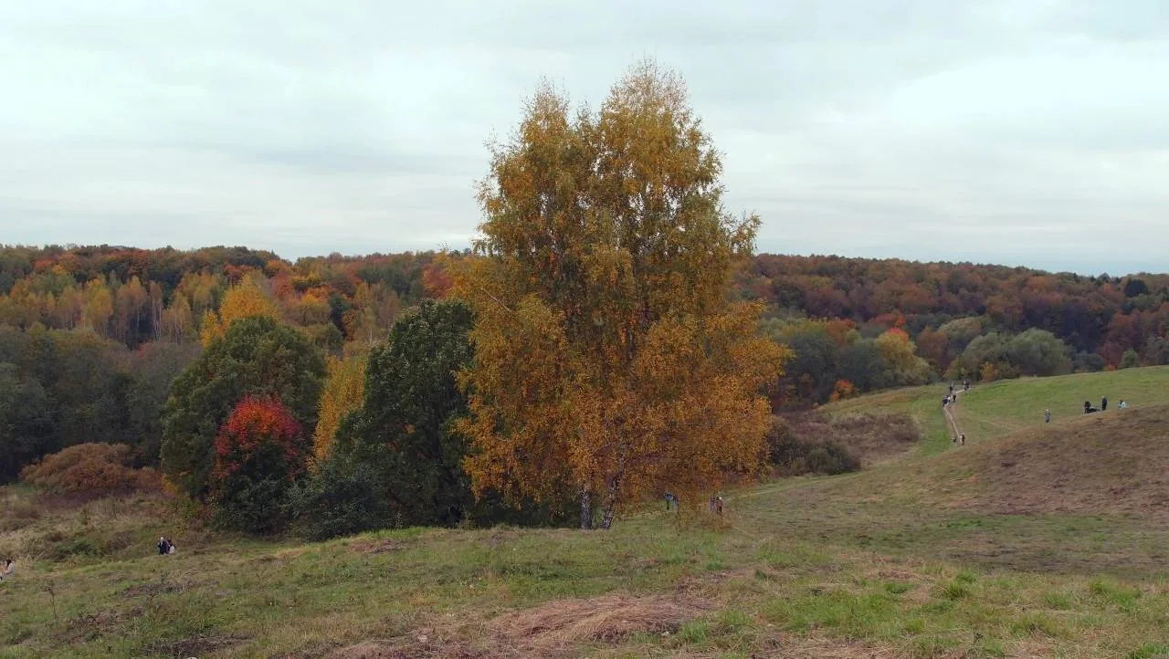 Осенние пейзажи Царицыно 😍