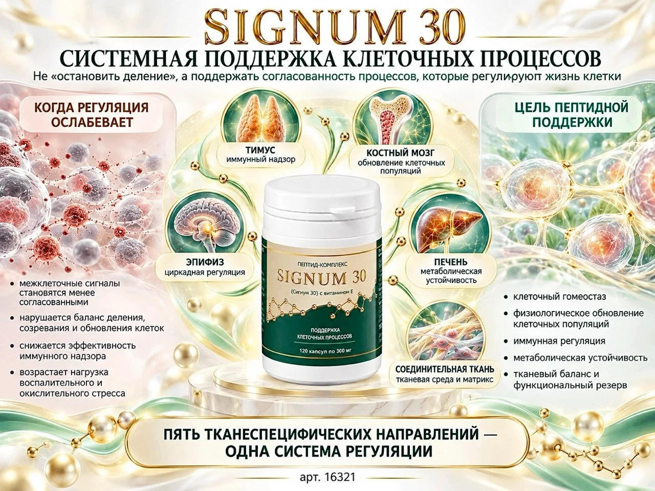 Почему изменённая клетка — ещё не опухоль?