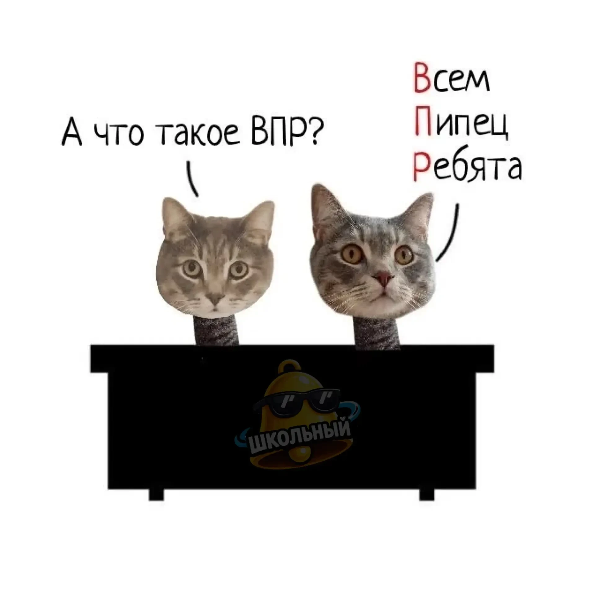 Оценки за ВПР теперь могут пойти в журнал