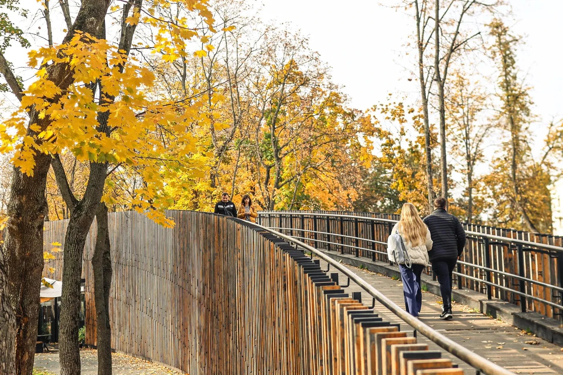 🍁 Продолжаем делиться атмосферными снимками любимого города