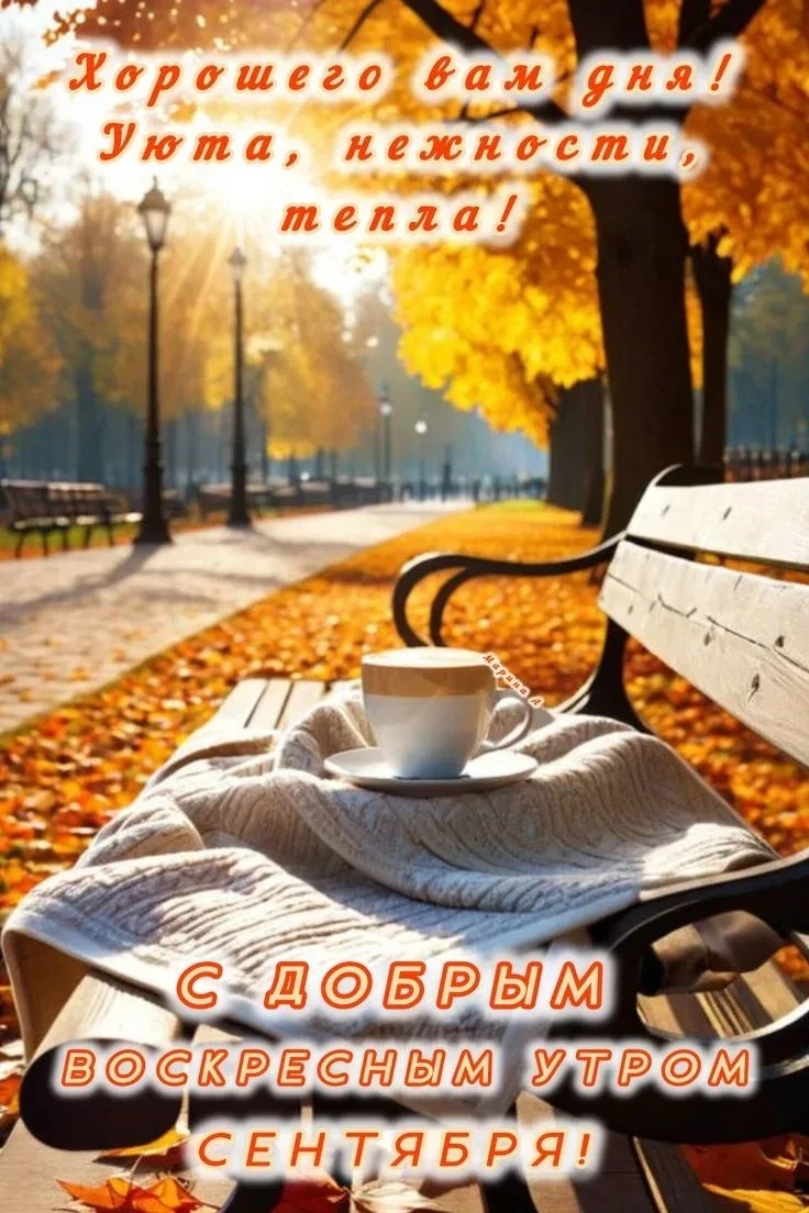 Последнее воскресенье сентября. За окном  то ли осень, то ли лето, которое никак не реш...