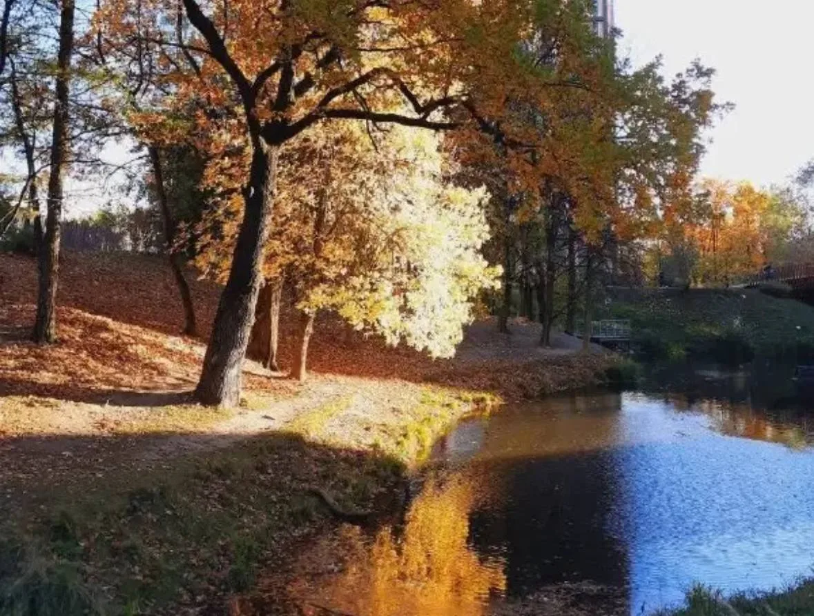 Осенние краски Коммунарки