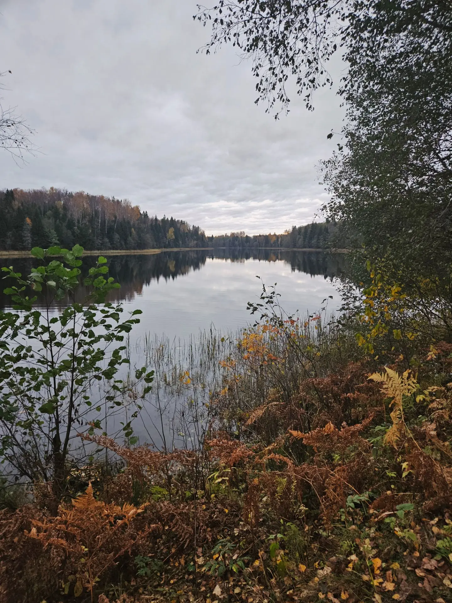 Обожаю осень 🍂 всей душой 🧡