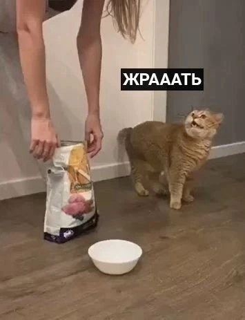 Не выдержала