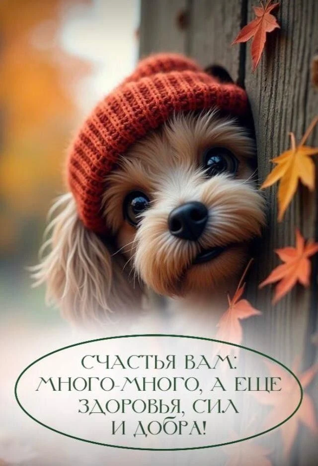 МИР ПОЗИТИВА 🤩 ОТКРЫТКИ!