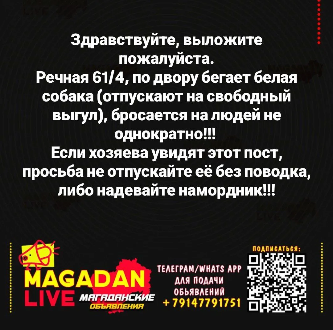 Жалоба на собаку от подписчика