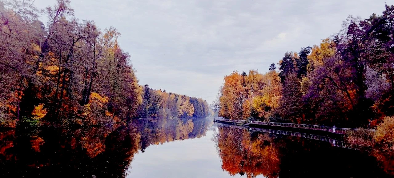ПОНРАВИЛАСЬ 🍁 БАЛАШИХА