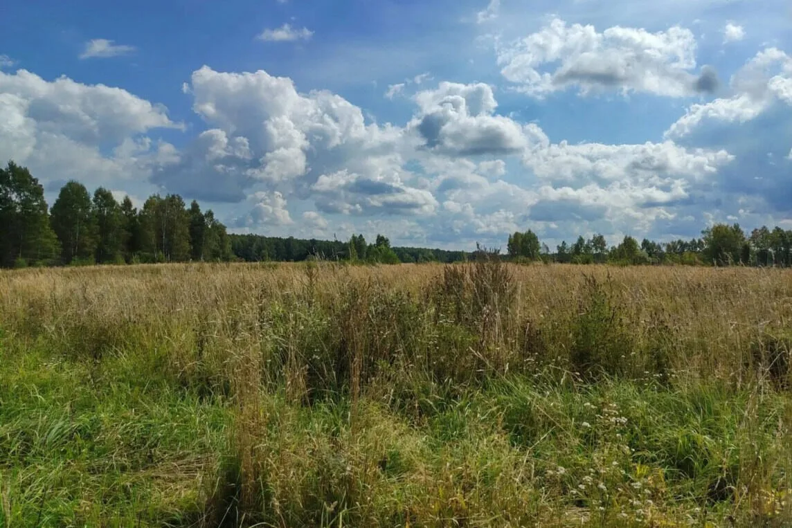 🚜🌾 В Смоленской области нашли нарушения земельного законодательства — сразу на 50,72 ...
