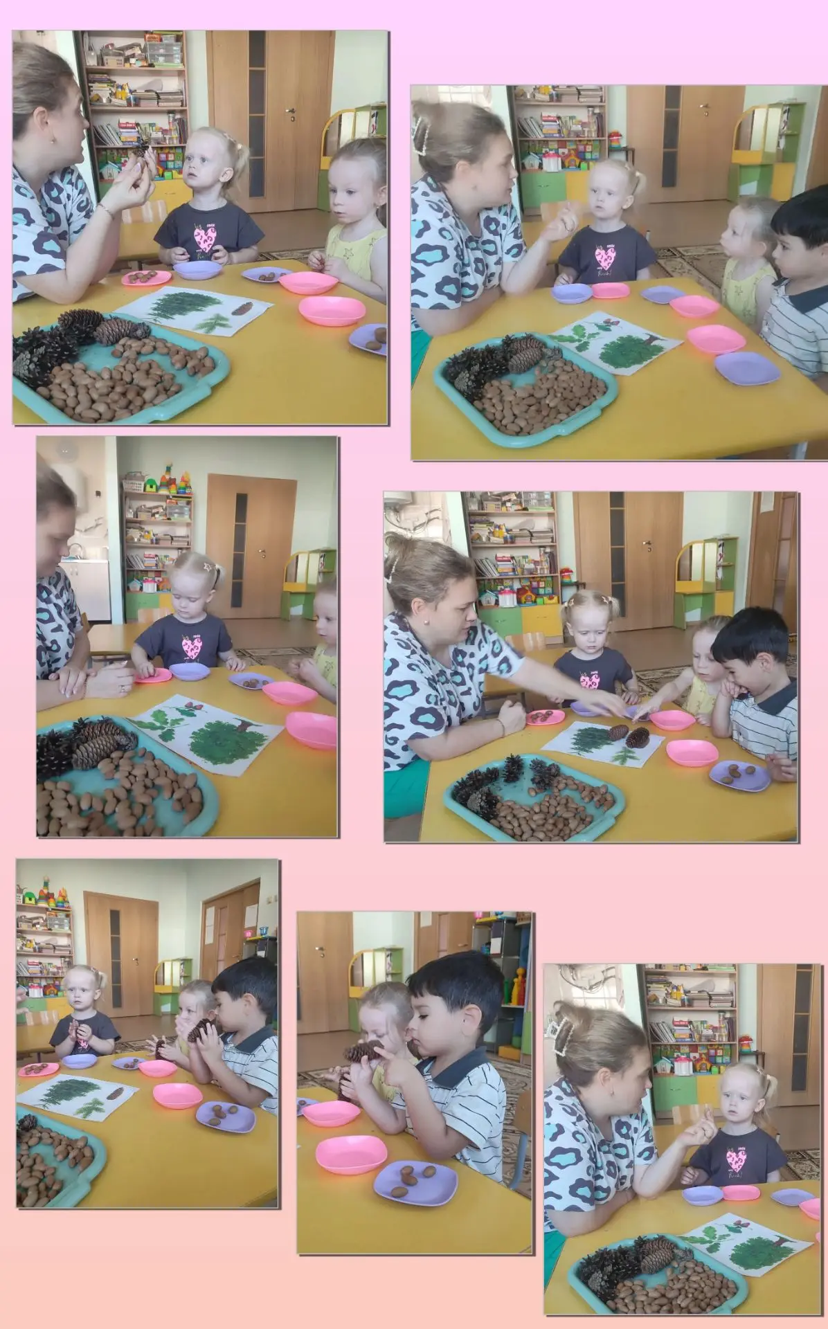 "Удивительные шишки и желуди" 🌰
