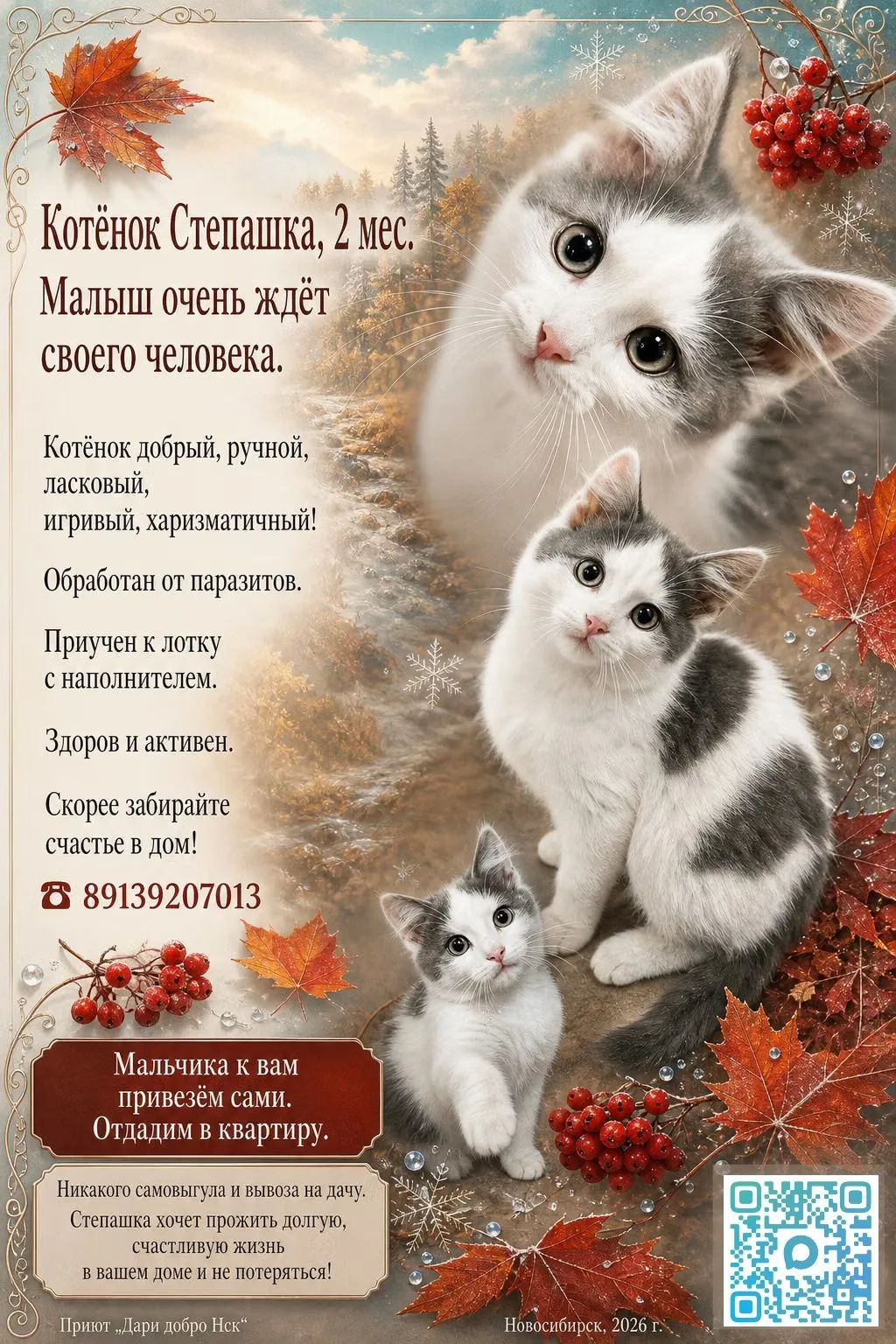 🍂 Степашка ищет дом!🏠 Тёплый, безопасный и уютный, с добрыми руками и сердцами!