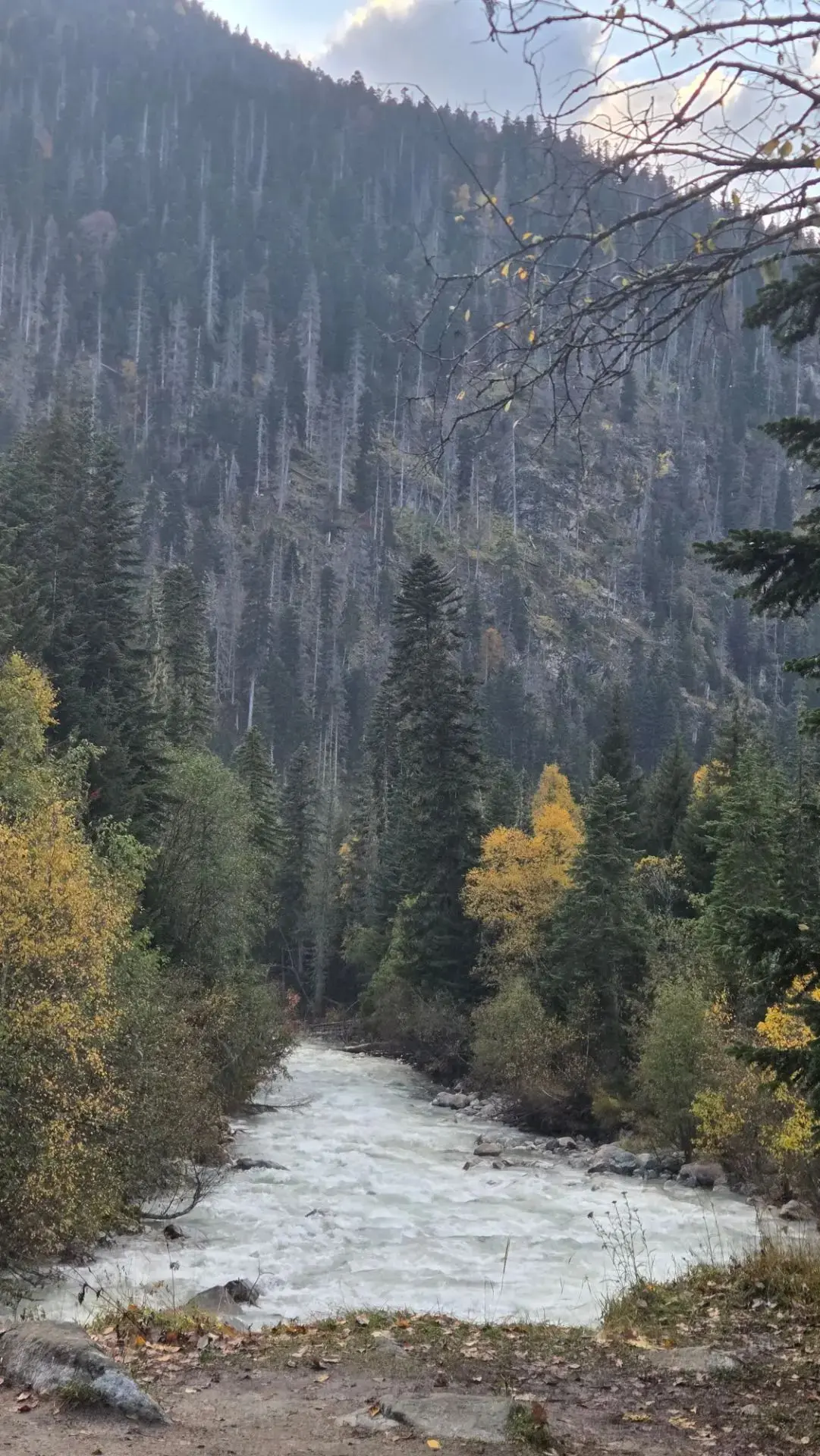 Фотокарточки сегодняшнего дня 🍁🏔