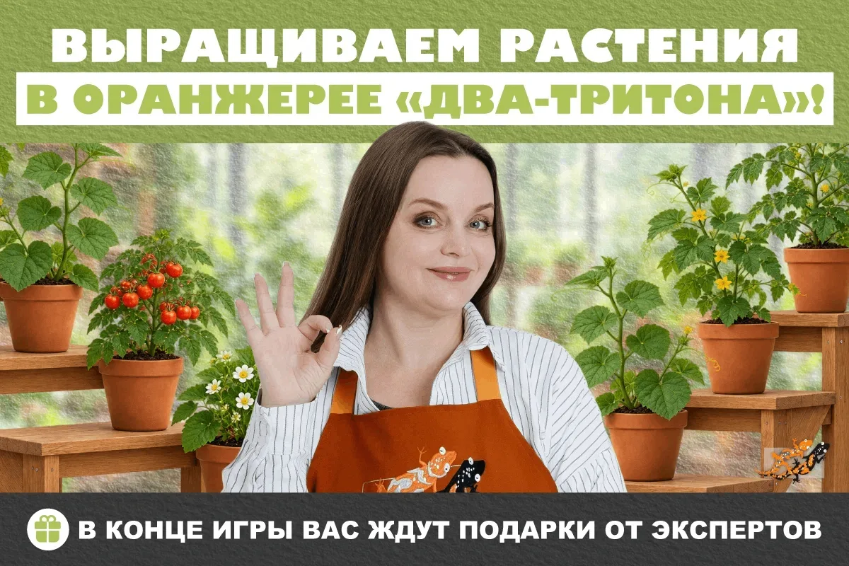 ПОКАЖИТЕ ВАШИ РАСТЕНИЯ! ЧТО УЖЕ ВЫРОСЛО? 📸