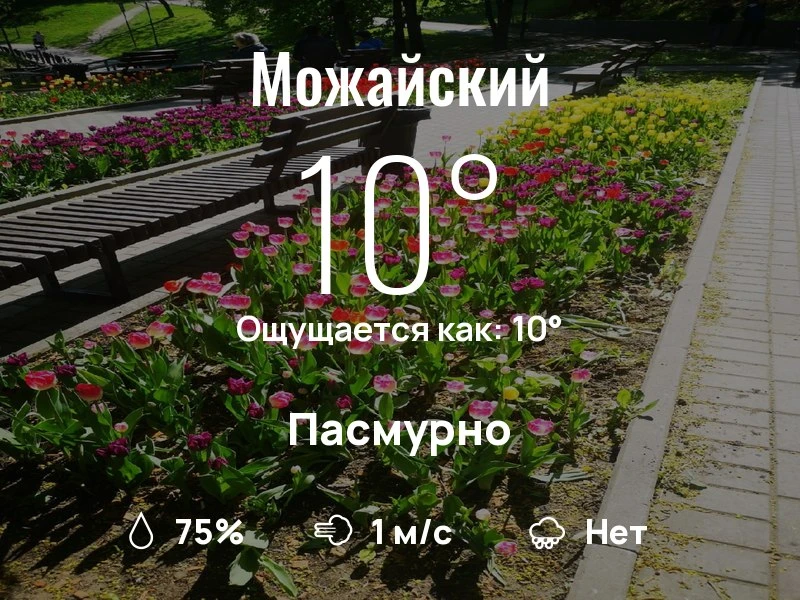 Что с погодой в Можайском?