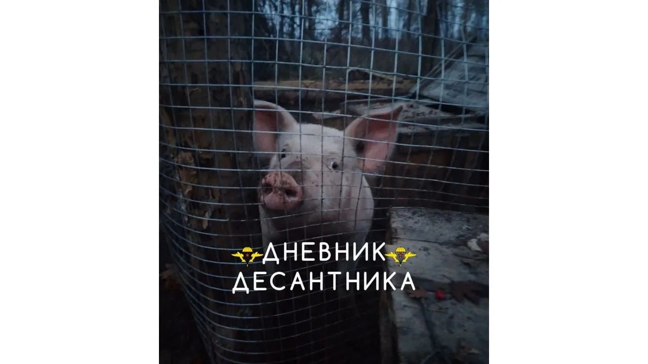 🪂 Срочные новости из зоны проведения спецоперации.