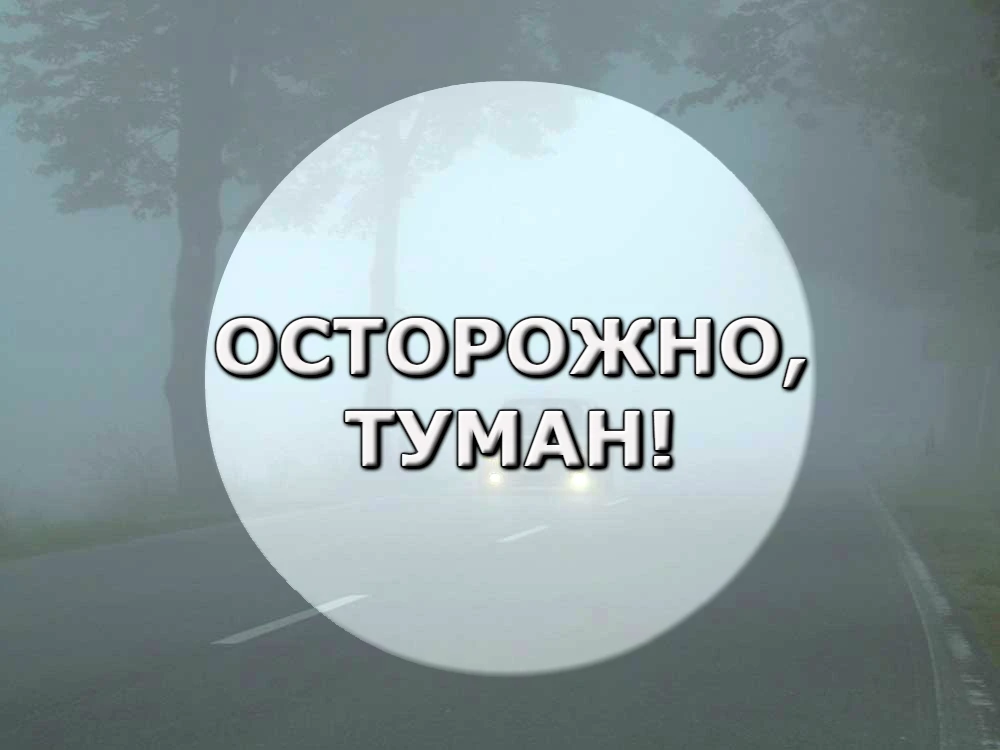 Памятка МЧС о безопасном поведении в тумане:
