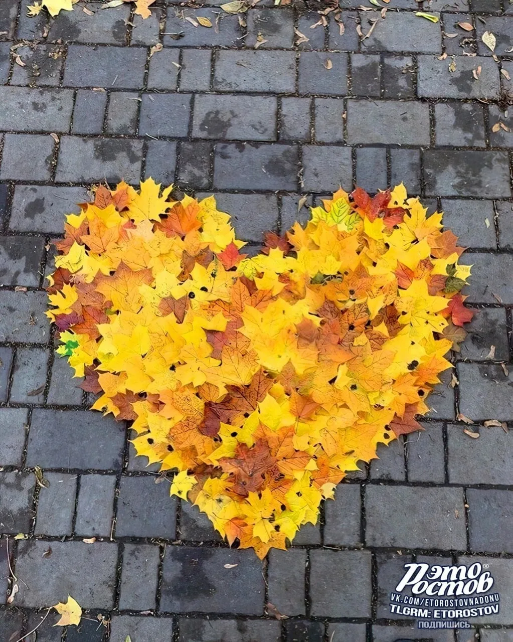 Осеннее сердце 🍂🧡