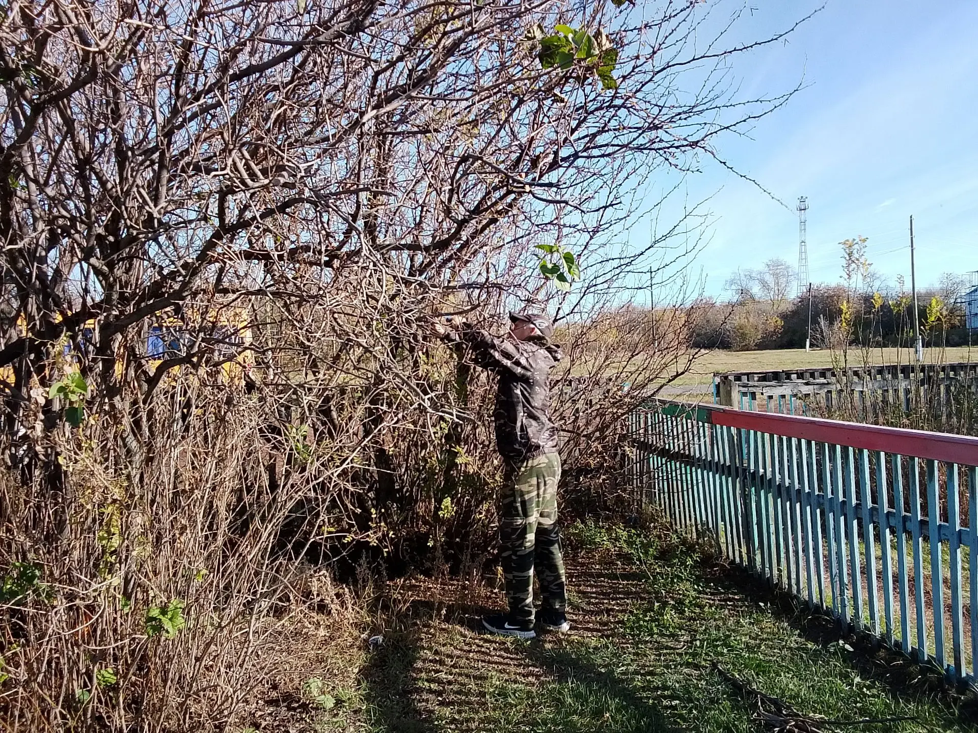 🌳 Трудовой пикник в нашей школе: вместе — сила! 🌳