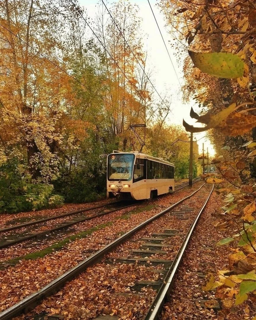 Трамвай в осень🍂