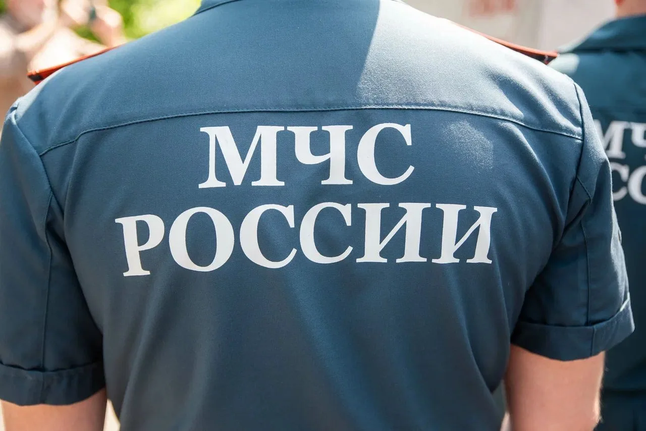 МЧС приглашает курян на службу саперами